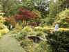 dream_garden2.jpg (89995 bytes)