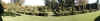 topiary2.jpg (58916 bytes)