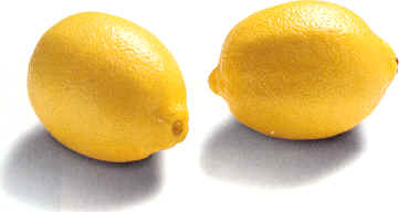 Two yellow lemons